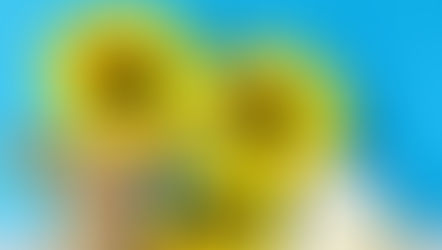 ◆「7月のご予約について」練馬髪質改善トリートメント&エイジングヘアケア・ヘッドスパ練馬専門サロン/練馬美容室、練馬美容院シフィ(sihui)