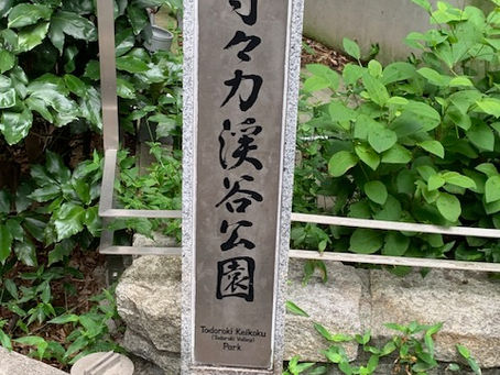 ◆「本日は・・」練馬髪質改善トリートメント&エイジングヘアケア・ヘッドスパ練馬専門サロン/練馬美容室、練馬美容院シフィ(sihui)