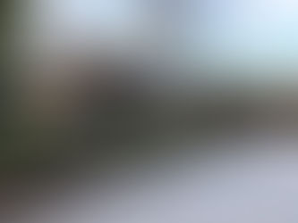 癒しを求め・・「本日は人が密にならない場所に行きました。」練馬駅近・駅前の美容室シフィ練馬/sihui