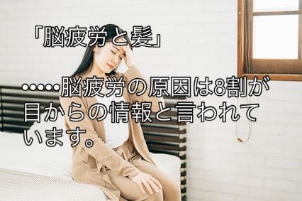 ◆「脳疲労と髪」練馬駅前の髪質改善トリートメント&エイジングヘアケア・ヘッドスパ練馬専門サロン/練馬美容室、美容院シフィ(sihui)