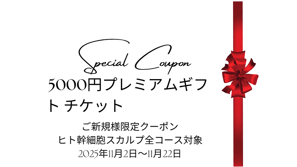 ◆「11月限定のお得なチケットのお知らせ」練馬髪質改善トリートメント&エイジングヘアケア・ヘッドスパ練馬専門サロン/練馬美容室、美容院シフィ(sihui)