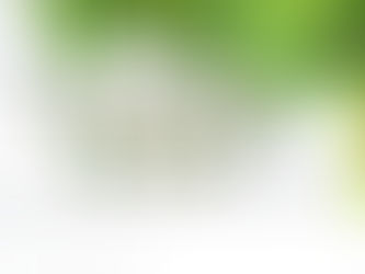 ◆「G.Wのご予約について・・」練馬髪質改善トリートメント＆エイジングヘアケア・ヘッドスパ練馬専門サロン/練馬美容室、練馬美容院シフィ(sihui)