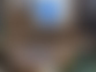 ◆「クリスマスに向けて・・」練馬髪質改善トリートメント&エイジングヘアケア・ヘッドスパ練馬専門サロン/練馬美容室、美容院シフィ(sihui)