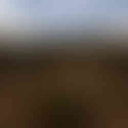 Sleepout in African bush