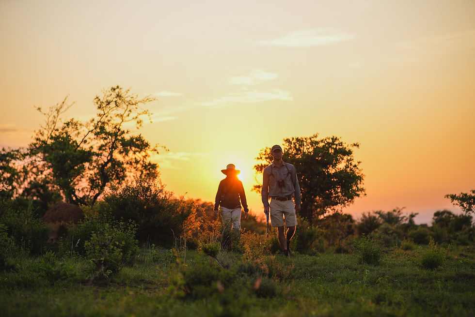 A guide and guest walking through the Waterberg bush at sunset on Welgevonden Game Reserve.