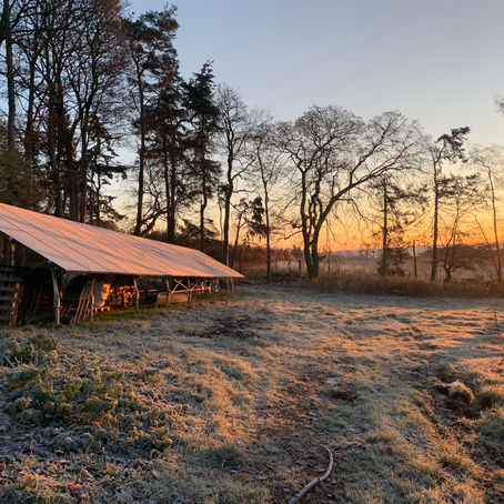 Bridging the Gap: Keeping the Lights On When the Sun Goes Down