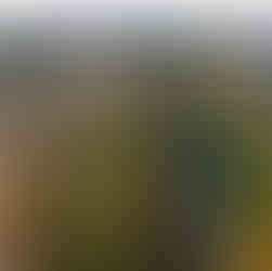 Aerial view of a coastal golf course showing a railway running through the centre with the sea on one side and the rugged terrain of the links golf course on the other