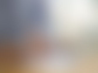 ¿Cuántas oportunidades dejaste pasar por no licitar?