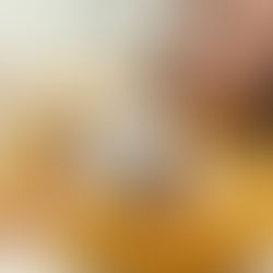 Amor que sana: por qué los animales de compañía nos alegran la vida