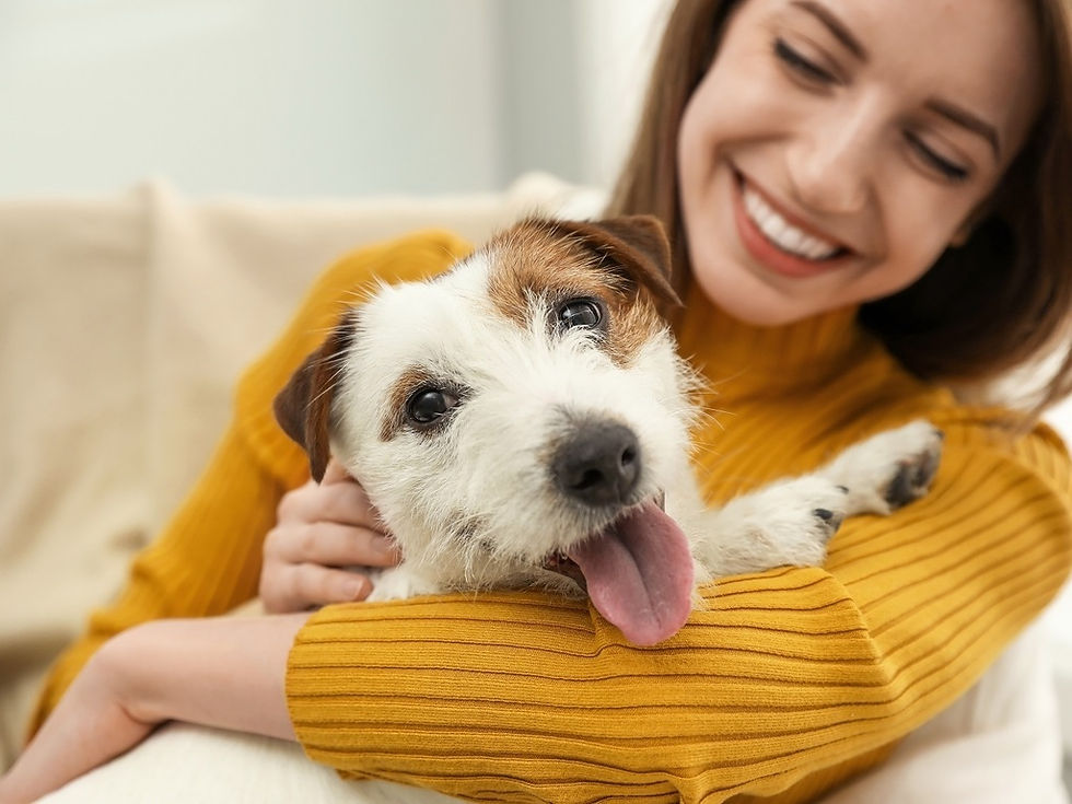 Amor que sana: por qué los animales de compañía nos alegran la vida