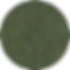 SP 11-Pumice.png