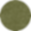 SP 11-Pumice.png