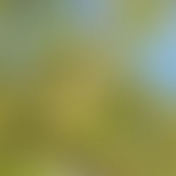 虫嫌いの母が、虫取りに奮闘するまで