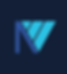 NewVision Management Solutions Logo