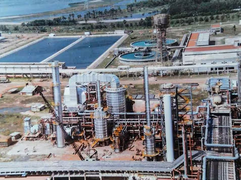 Nagarjuna Fertilisers & Chemicals Limited