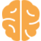 brain.png