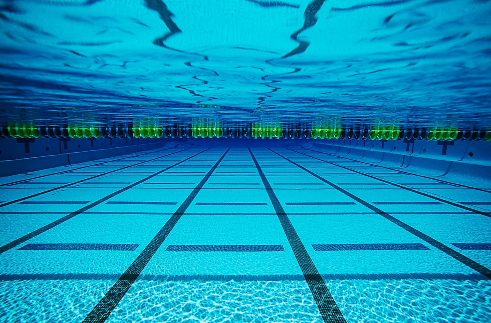 Lap Pools.jpg