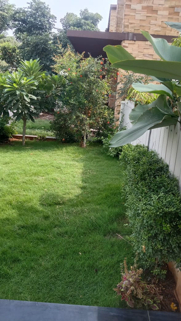 Jade Scapes | Gardening | Trees | Landscape Design | Hyderabad