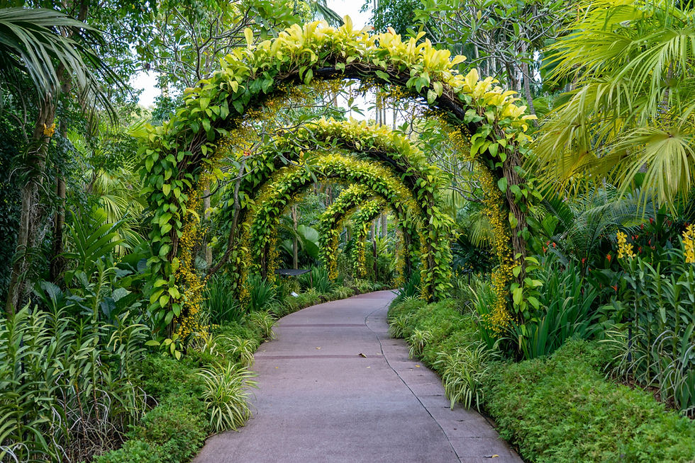 Jade Scapes | Gardening | Trees | Landscape Design | Hyderabad