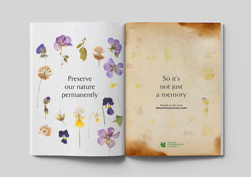 Young Lions Flowers.jpg