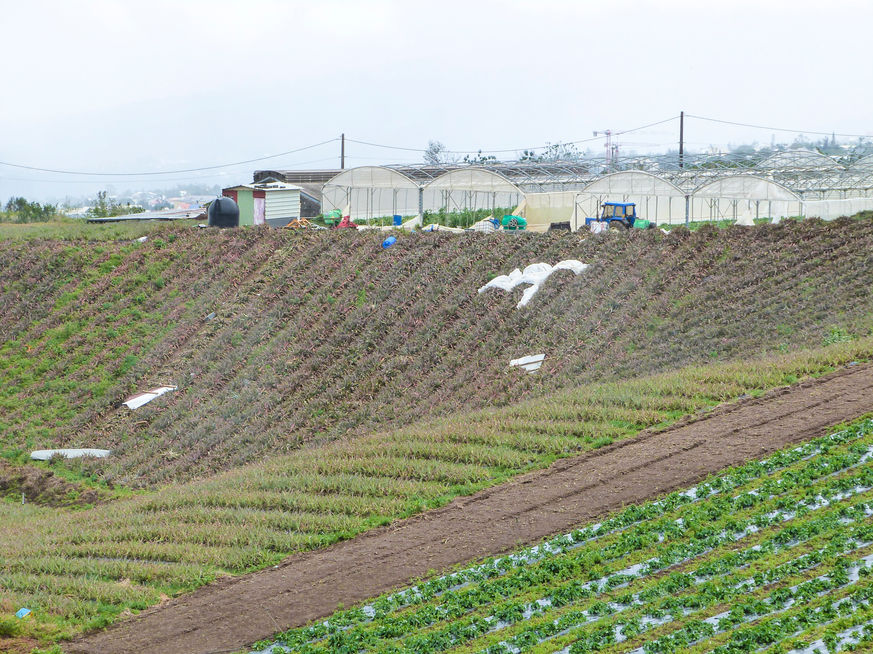 Le 2 janvier 2014, La Réunion passe en alerte rouge à 10h. Toute circulation et sortie sont interdite. Le centre du cyclone tropical Bejisa étant situé à 160km au Nord-Ouest de La Réunion. Depuis le 31 décembre 2013, le département de l’océan indien est placé en pré-alerte cyclonique. Le mur de l'œil du cyclone effleure le Sud-Ouest de l’île, transitant à une dizaine de kilomètres de la pointe de Trois Bassins. Des rafales de 140 km/h sont observées entre le Port (ouest) et Saint-Pierre (sud). Dans les hauteurs de l’île, les vents ont été plus forts avec 159 km/h à la Plaine des Palmistes jusqu’à 178 km/h à Bellecombe-Jacob, du côté du volcan. Les précipitations sont abondantes : plus de 1000 mm en 48h dans le centre de l’île, à Cilaos. La houle cyclonique atteint des valeurs maximales sur le littoral Nord et Nord-Ouest avec des vagues de 10 à 11 mètres. Vendredi 3 janvier 2014 à 9h, l’alerte rouge est levée et laisse place à la phase de sauvegarde.
C’est le moment de lister les dégâts.  ©Véronique Tournier