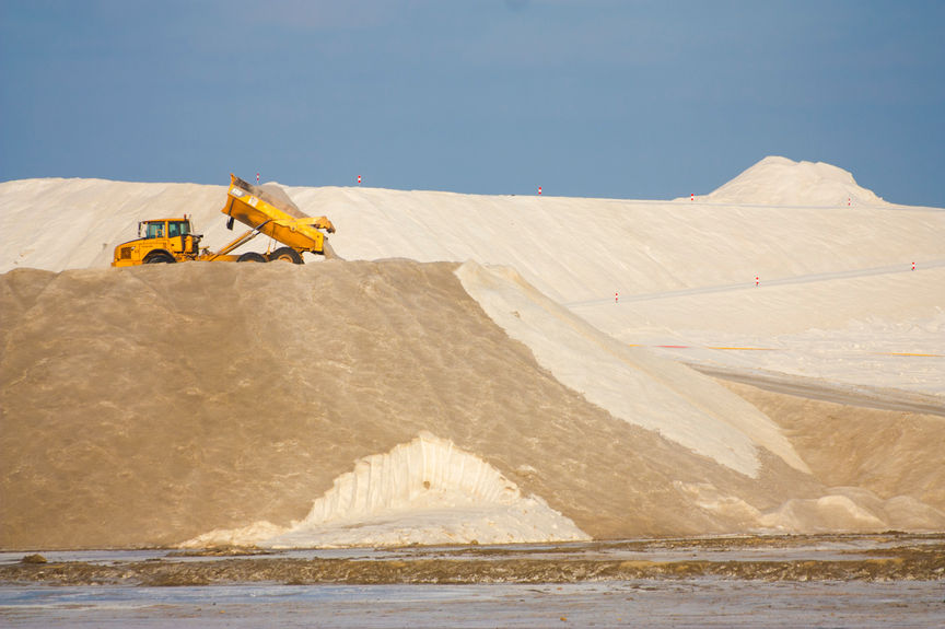 Série « Quand l’animal s’imprègne de la Nature. Ou l’inverse. » Le cheval et les Salins d’Aigues-mortes, Camargue, France, mai 2022 - © Véronique Tournier