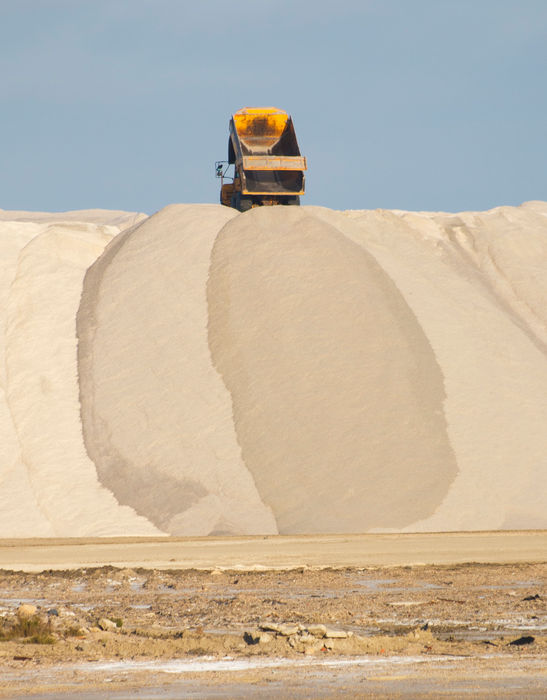 Série « Quand l’animal s’imprègne de la Nature. Ou l’inverse. » Le cheval et les Salins d’Aigues-mortes, Camargue, France, mai 2022 - © Véronique Tournier