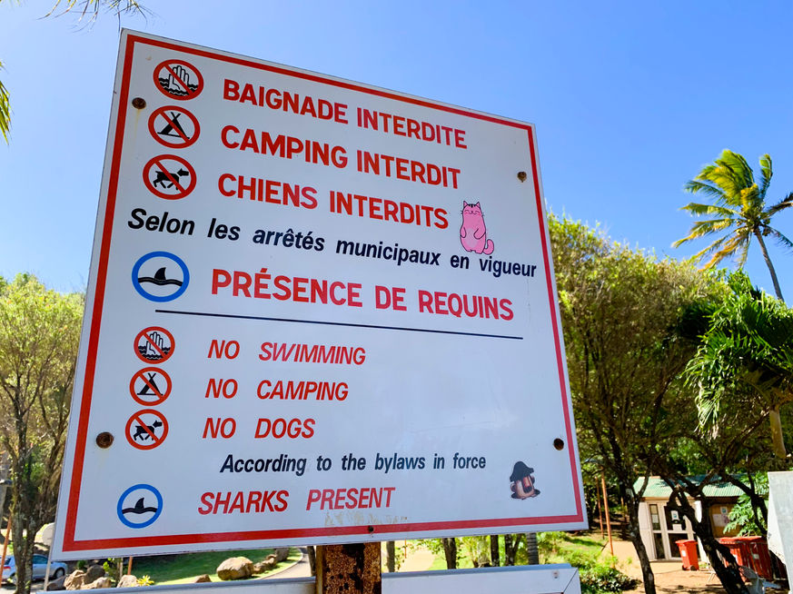 Un paysage de carte postale
Tous les dimanches pendant les vacances de l’été austral 2019, la rédaction du Quotidien a mis en avant des sites de pique-nique sur l’île de La Réunion. Direction le sud de l’île avec la célèbre aire de Grand’Anse. La plage, longue étendue de sable blanc et fin, est surmontée d’un lieu de promenade aménagé avec des chemins et des étendues de gazon. «C’est la plus belle aire de pique-nique du sud voire de La Réunion, et c’est aussi le meilleur endroit pour jouer au domino. » Faut-il comprendre dans les propos de Carlo un brin de chauvinisme ? Qu’importe, cet habitant de Petite-Ile où se situe l’une des plus célèbres aires de pique-nique de La Réunion, n’est pas le seul à mettre dans le top 5 des lieux pour le traditionnel repas à ciel ouvert.

Le Quotidien de La Réunion et de l’Océan Indien - Edition 8 octobre 2018 - «Vers un encadrement de la nage avec les baleines» - La Réunion - © Véronique Tournier  