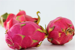 PITAHAYA ROJA 33