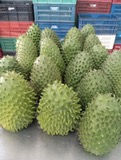 Miniatura: Soursop / Guanábana (cada unidad pesa entre 3 y 5 kg)  Origen: Colombia