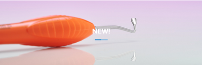 LM Replica Posterior