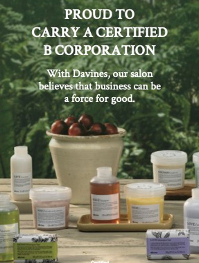 CAD-Bcorp-Shampoo-Bars.jpg