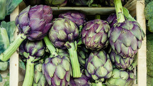 Healthy Food ตอนที่ 4 ARTICHOKE