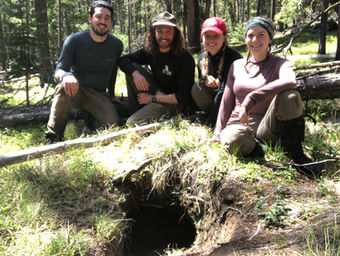 Technicians gathered around a wolf den 