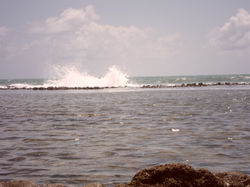 Water and Stones by Mile Mieko-chan