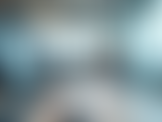 Understanding the Range of Company Services Offered