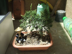 Matsuda Mori-kun by Mile Mieko-chan