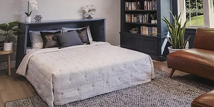 murphy bed open.jpg