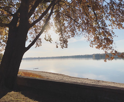 Scenic autumn lake view: calm water, tree branches, sunrise