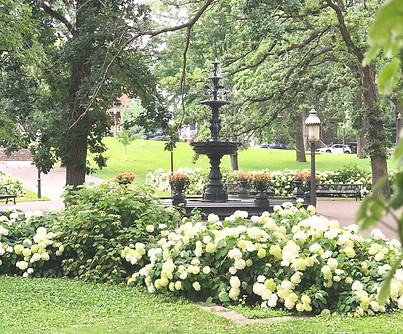 Ornate fountain nestled among lush greenery and hydrangeas