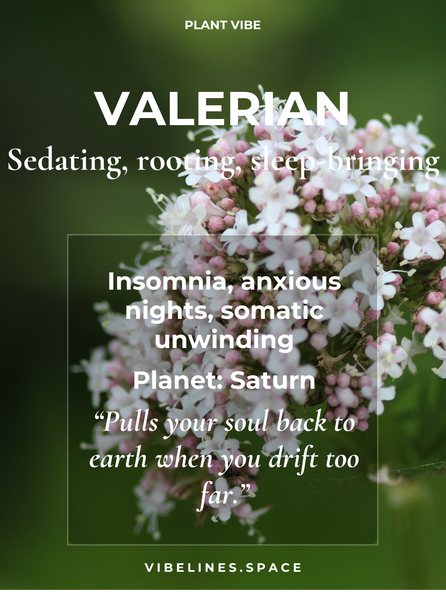 Valerian