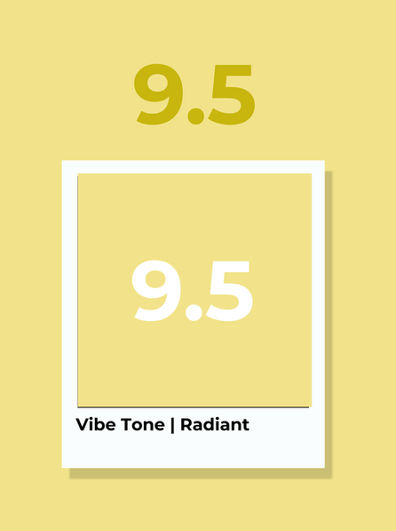 9.5/9.5