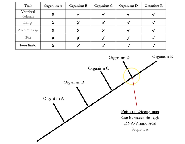 Screenshot 2025-08-17 at 14.51.14.png