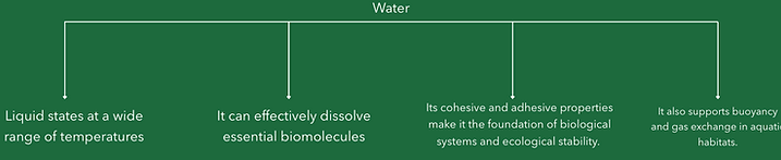 Screenshot 2025-08-17 at 10.55.28.png