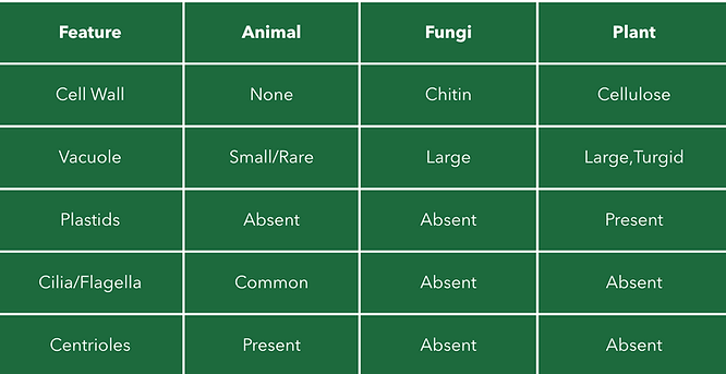 Screenshot 2025-08-18 at 16.06.51.png