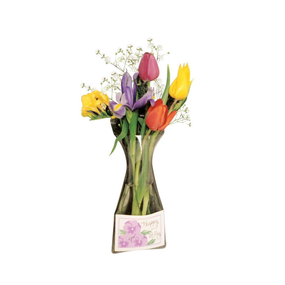 Gadjit Window Vase Gift Card Style
