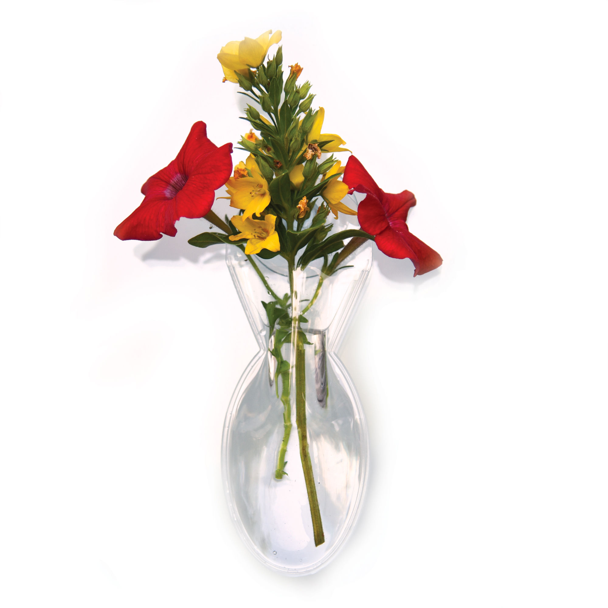 Gadjit Window Vase Mini Oval Style, 2 Pack