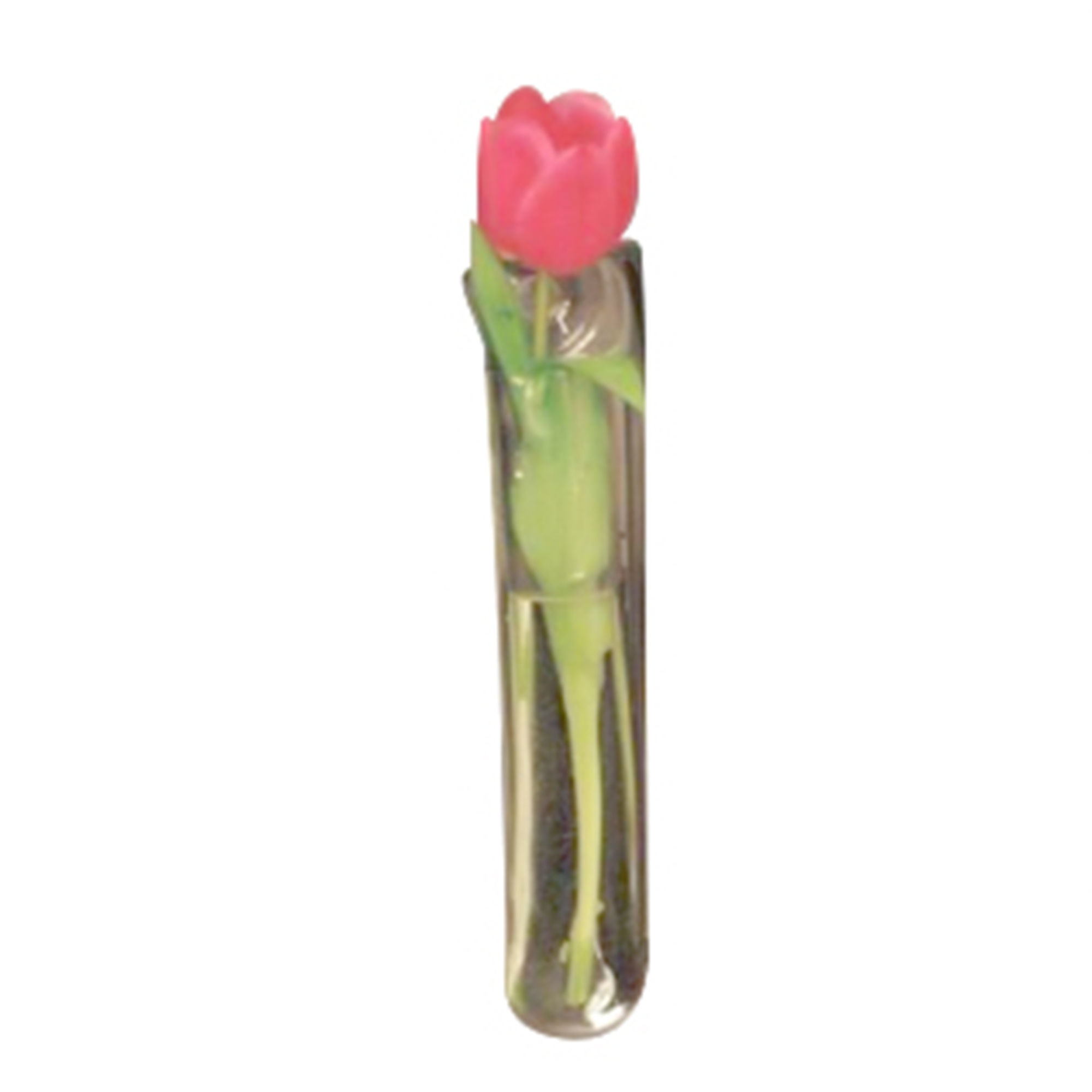 Gadjit Window Vase Single Blossom