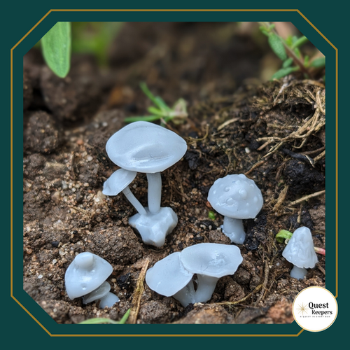 Basing Bits: Mushrooms | Quest Keepers