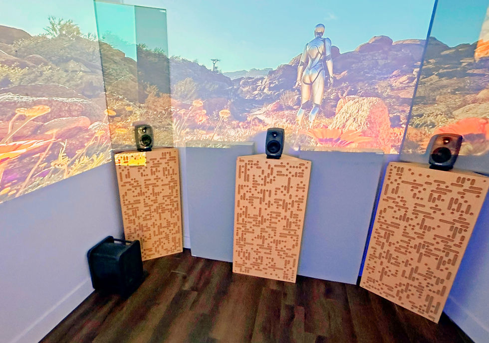 High angle view of a tranquil yoga studio with mats laid out